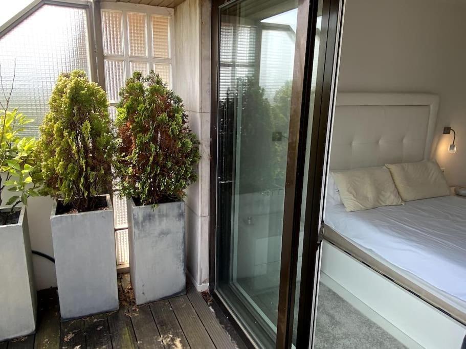 Avenida Vt - Vivienda Turistica Apartment Сан Себастиан Екстериор снимка
